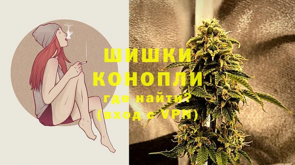 гидра Абаза