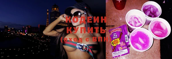 гидра Абаза
