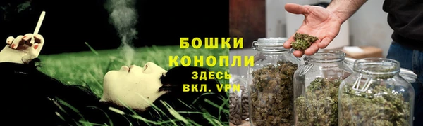 гидра Абаза