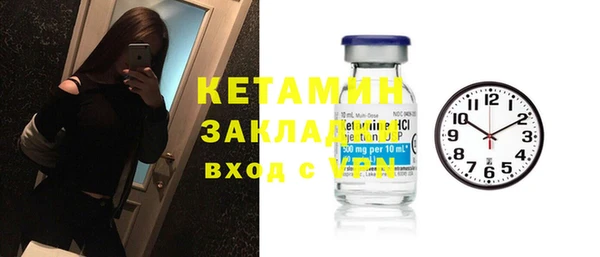гидра Абаза