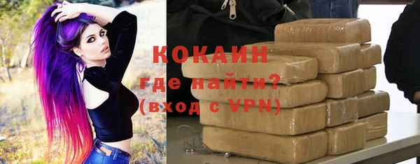 гидра Абаза